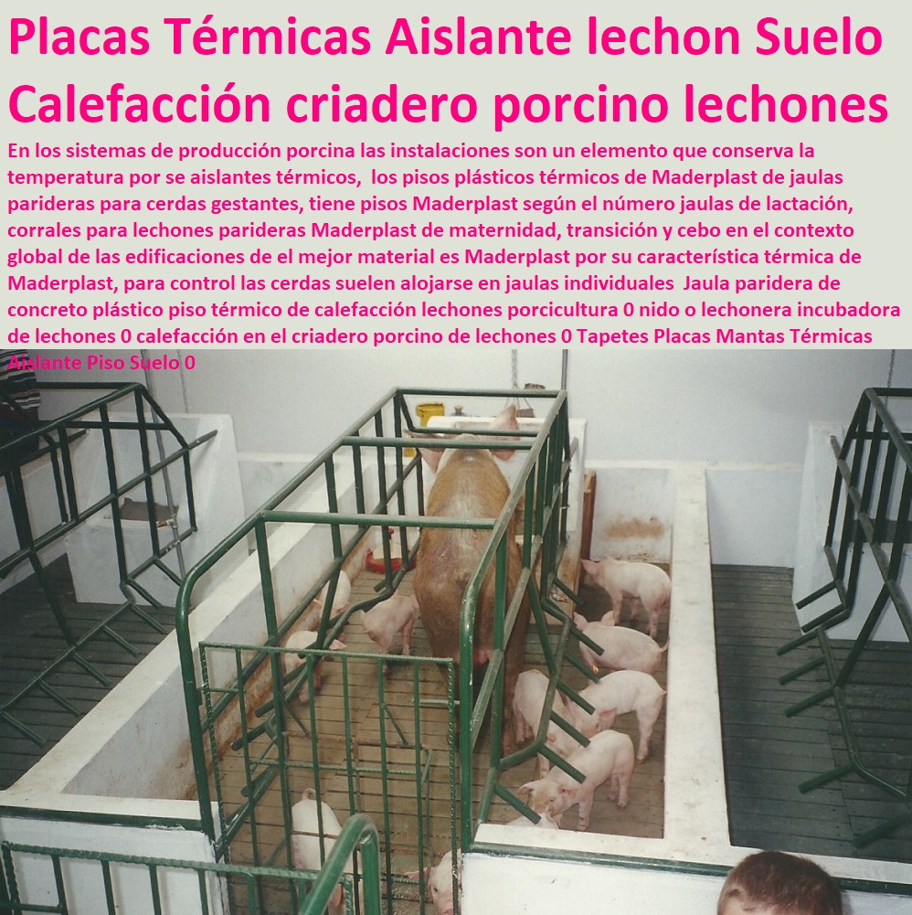 Jaula paridera de concreto plástico piso térmico de calefacción lechones porcicultura 0 nido o lechonera incubadora de lechones 0 calefacción en el criadero porcino de lechones 0 Tapetes Placas Mantas Térmicas Aislante Piso Suelo 0 porcicultura jaulas, corrales, parideras, porcinas corral, gestación cerdas, parto cerda, lechonera, destete, jaula pre ceba porcinos, corraleja, ceba, engorde cerdos, porqueriza cría de lechones, pisos jaulas comederos, Jaula paridera de concreto plástico piso térmico de calefacción lechones porcicultura 0 nido o lechonera incubadora de lechones 0 calefacción en el criadero porcino de lechones 0 Tapetes Placas Mantas Térmicas Aislante Piso Suelo 0